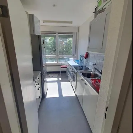 Lumineux Et Spacieux De 2 Chambres Apartament Farébersviller